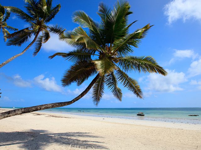 Zanzibar, a tropical paradise